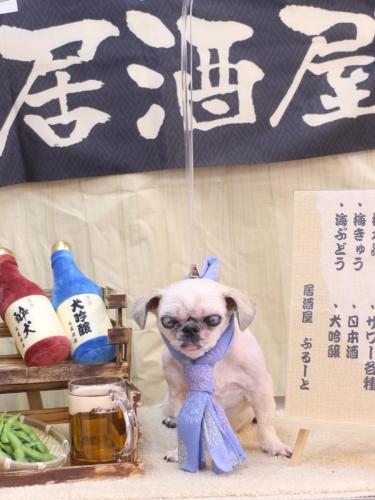 20240607マロニーちゃん